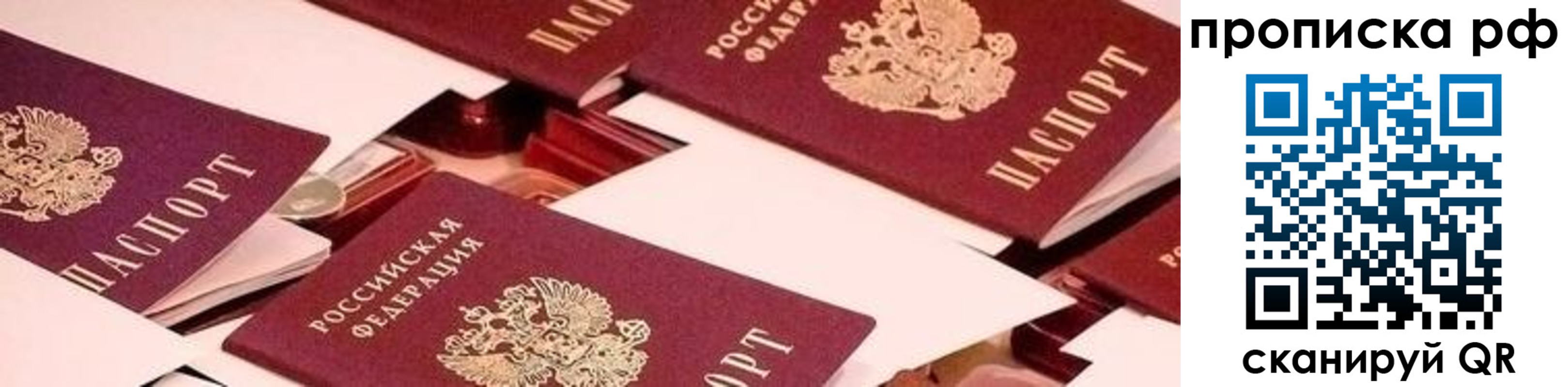 купить прописку в Ульяновской области